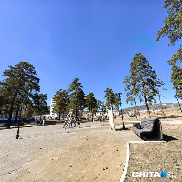 Источник: Дарья Кливенкова / CHITA.RU