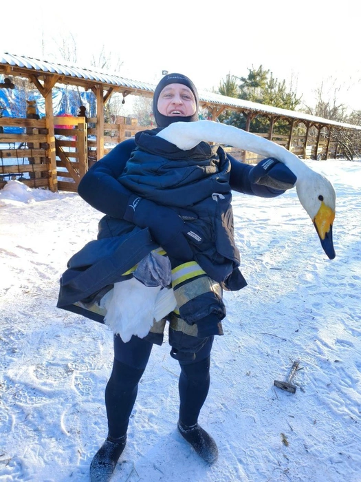 Поймать и вызволить птицу помогли спасатели | Источник: Олений Остров зоопарк Саратов&nbsp;— Татищево / Telegram