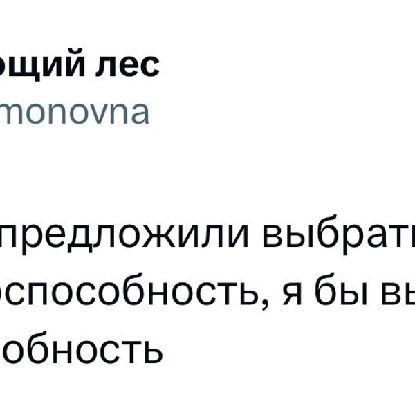 Источник: X (Twitter)