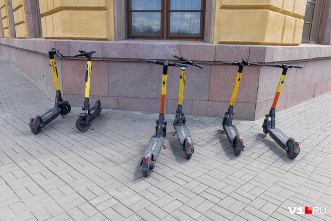 Электросамокаты могут оказаться под запретом во всех парках и скверах города | Источник: Алексей Волхонский / V1.RU