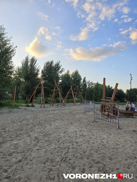 Источник: Ирина Булгакова \ Voronezh1.ru