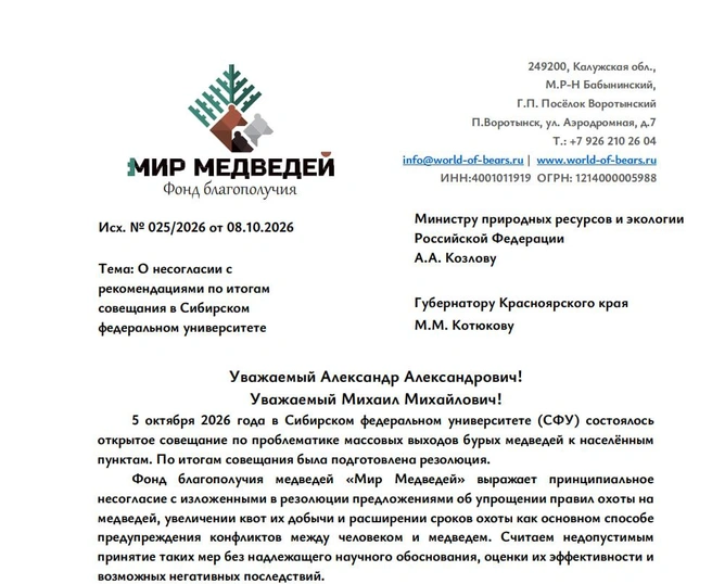 Зоозащитники считают, что спор о медведях нельзя решать одним отстрелом | Источник: открытое письмо фонда «Мир медведей»