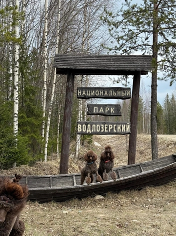 Источник: Глеб Васильев