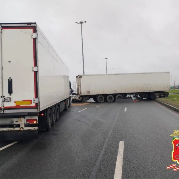 Источник: Петербургская полиция/Telegram