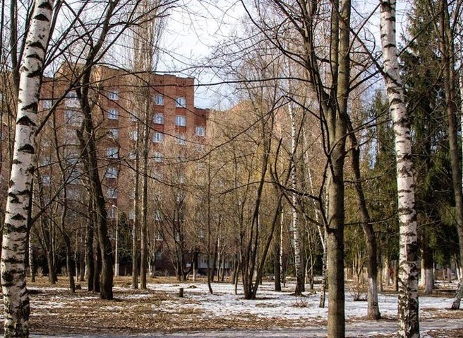 Завтра в Рязанской области потеплеет до +9 ºС | ya62.ru