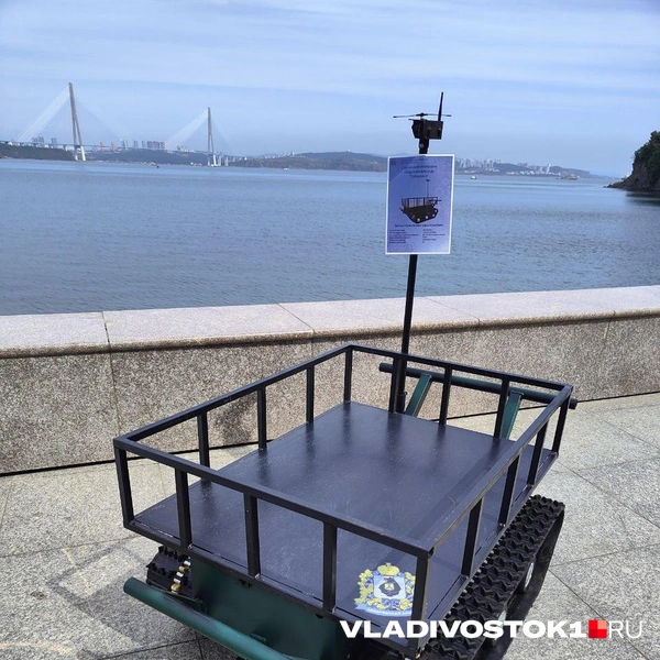 Источник: Татьяна Акишина / VLADIVOSTOK1.RU