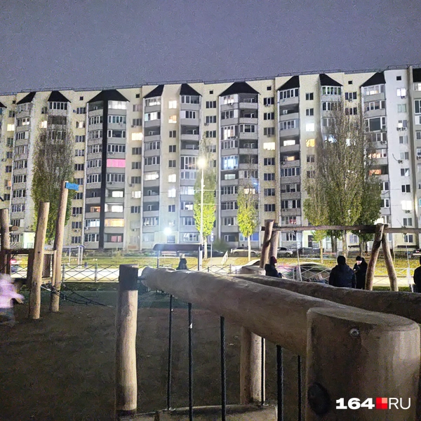 Источник: Сергей Гендин / 164.RU