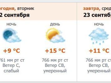 Источник: скриншот с meteo.nw.ru