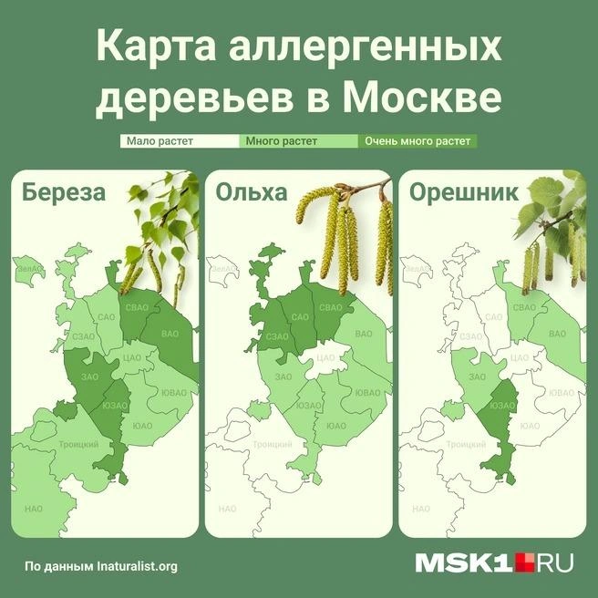 Источник: Мария Романова / Городские медиа