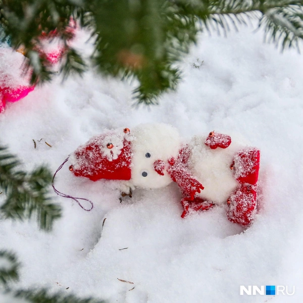 Одна из игрушек грустно лежит под деревом | Источник: Наталья Бурухина / NN.RU