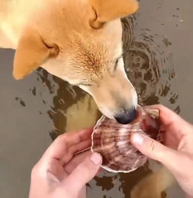 Видео набрал большое количество реакций | Источник: slownrg / Instagram*