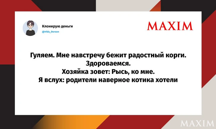 Лучшие шутки недели и «как кошка с кроваткой» | Источник: MAXIM / X (Twitter)