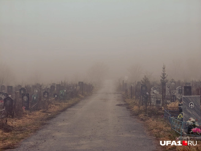 Кладбище в клубах тумана выглядит жутко | Источник: Булат Салихов / UFA1.RU