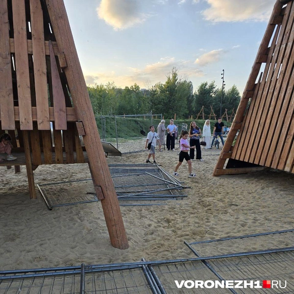 Источник: Ирина Булгакова \ Voronezh1.ru