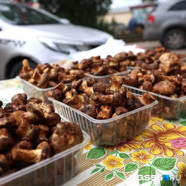 Такой контейнер стоит 150 рублей | Источник: Евгений Софийчук / NGS55.RU