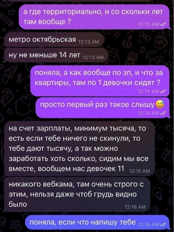 Съемки подчеркнуто не связывают с вебкамом | Источник: «Анонимный Новосибирск» / t.me