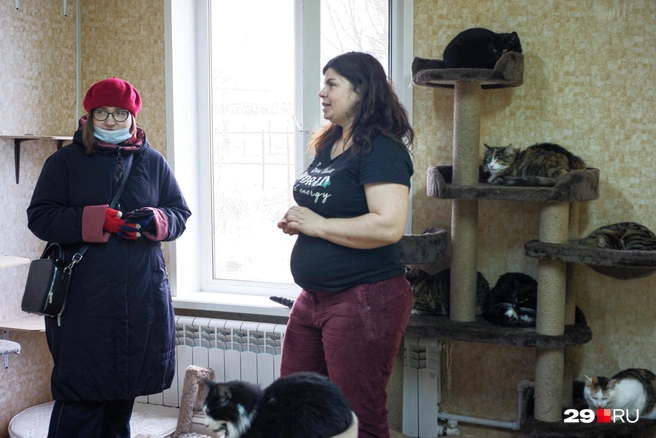 Ольга говорит, что сейчас под крылом приюта находится 250 животных | Источник: Роман Филковский