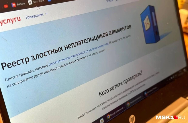 Публичный онлайн-список должников по алиментам заработал на «Госуслугах» | Источник: Екатерина Рябчук / MSK1.RU