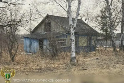 Суд обязал амурчанку вернуть маткапитал государству