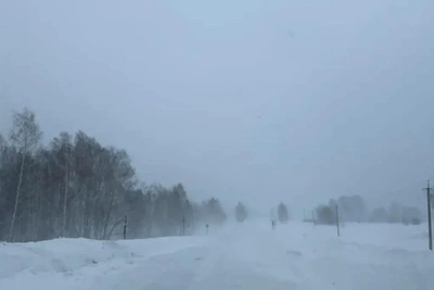 В Новосибирской области водителей просят не ездить за город