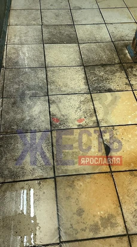 Кафельные полы покрыты грязью и плесенью | Источник: Жесть Ярославль / Vk.com
