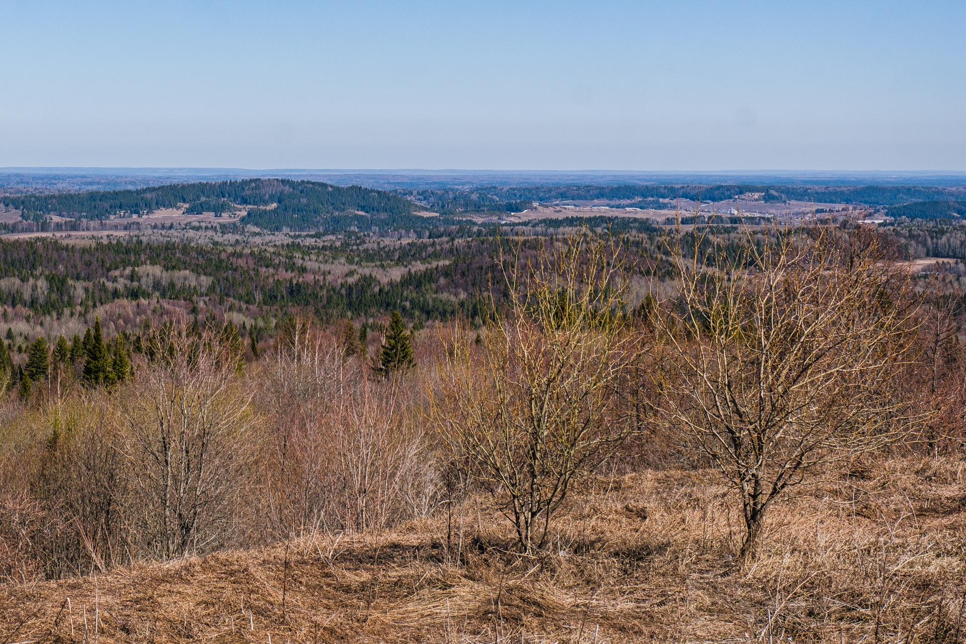 Это исключительная мера: в Прикамье суд изъял неиспользуемую землю по требованию Минагро  разбор