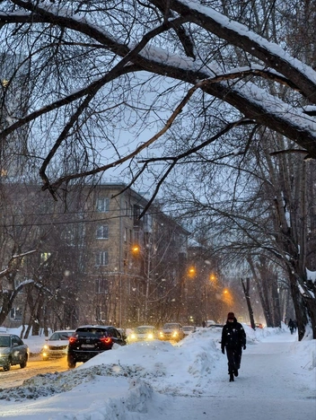 Снегопад в Новосибирске | Источник: читательнциа НГС