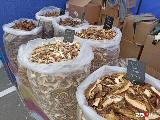 Источник: Иван Митюшёв / 29.RU