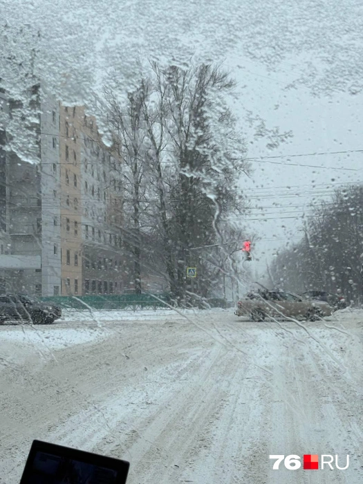 Жители города показали последствия непогоды | Источник: читатель 76.RU