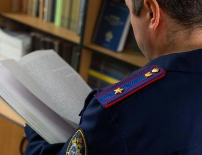 Источник: udm.sledcom.ru