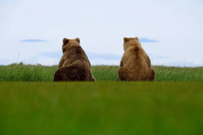 Источник: Casey Hall / photocontest.smithsonianmag.com