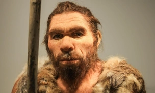Неандертальцы съели «чужих» женщин и детей 45 тысяч лет назад в пещере в Бельгии