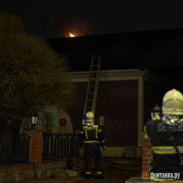 Источник: Андрей Бок / FONTANKA.RU