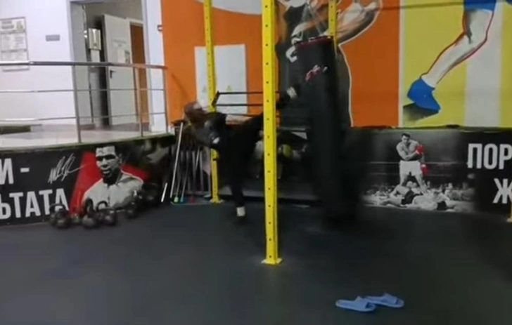 Алиса Теплякова