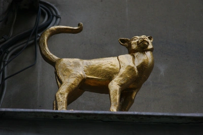 Спор о кошке после смерти хозяйки в Петербурге