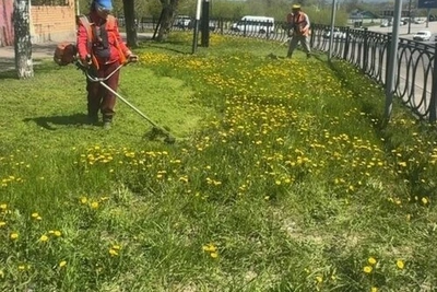 В Тамбове начался покос травы