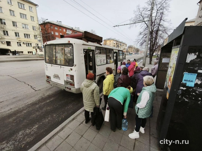 Источник: www.city-n.ru