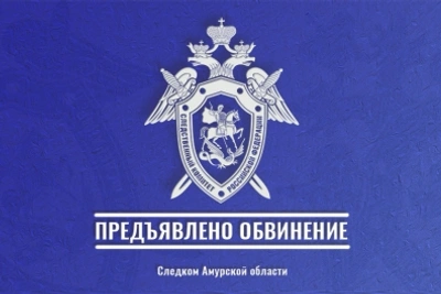 Благовещенца обвинили в покушении на убийство сожительницы