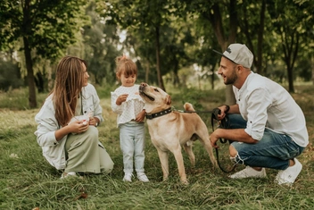 «Без кота и жизнь не та»: 3 истории людей, взявших питомцев с улицы