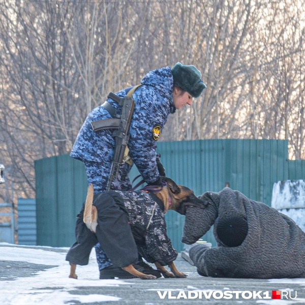 Источник: Елена Буйвол / VLADIVOSTOK1.RU