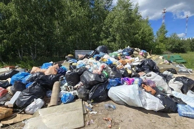 Мещерский заповедник: деревня Деулино страдает от мусора