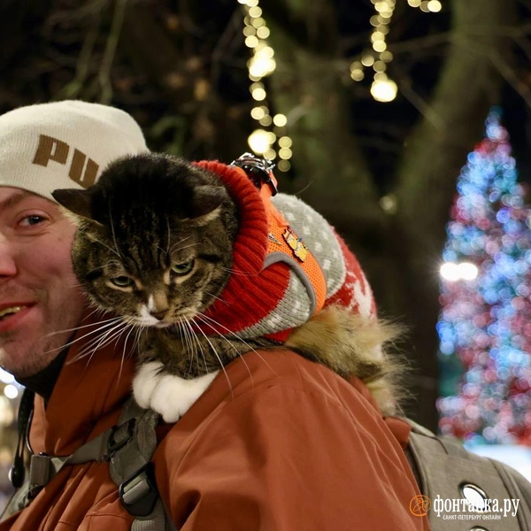 Источник: Марина Мамонтова/FONTANKA.RU