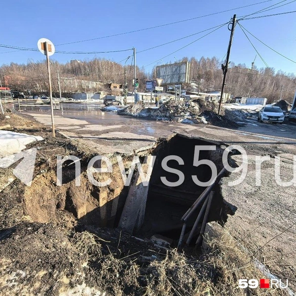 Источник: Василина Любимова / 59.RU