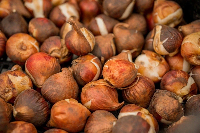 Источник: Иван Лебедев Мурманск / T.me