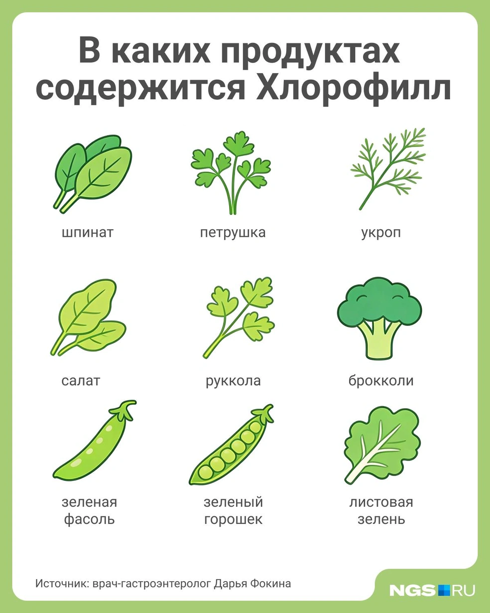 Польза овощей и зелени для здоровья научно доказана | Источник: Юрий Орлов / Городские медиа