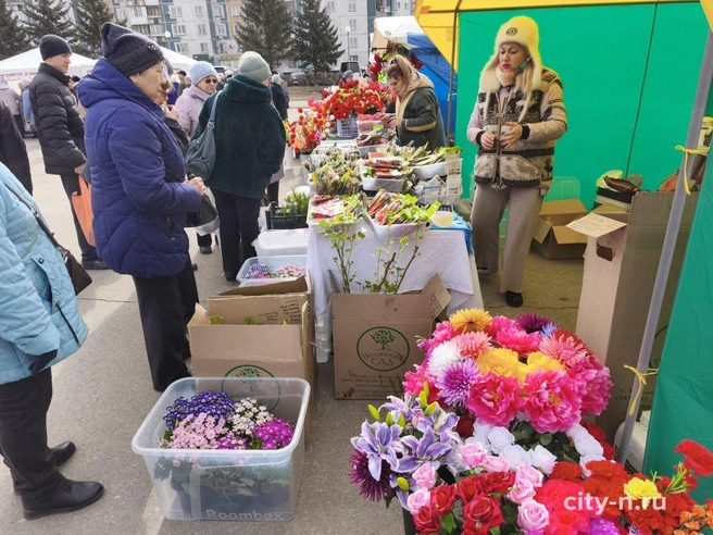 Источник: www.city-n.ru