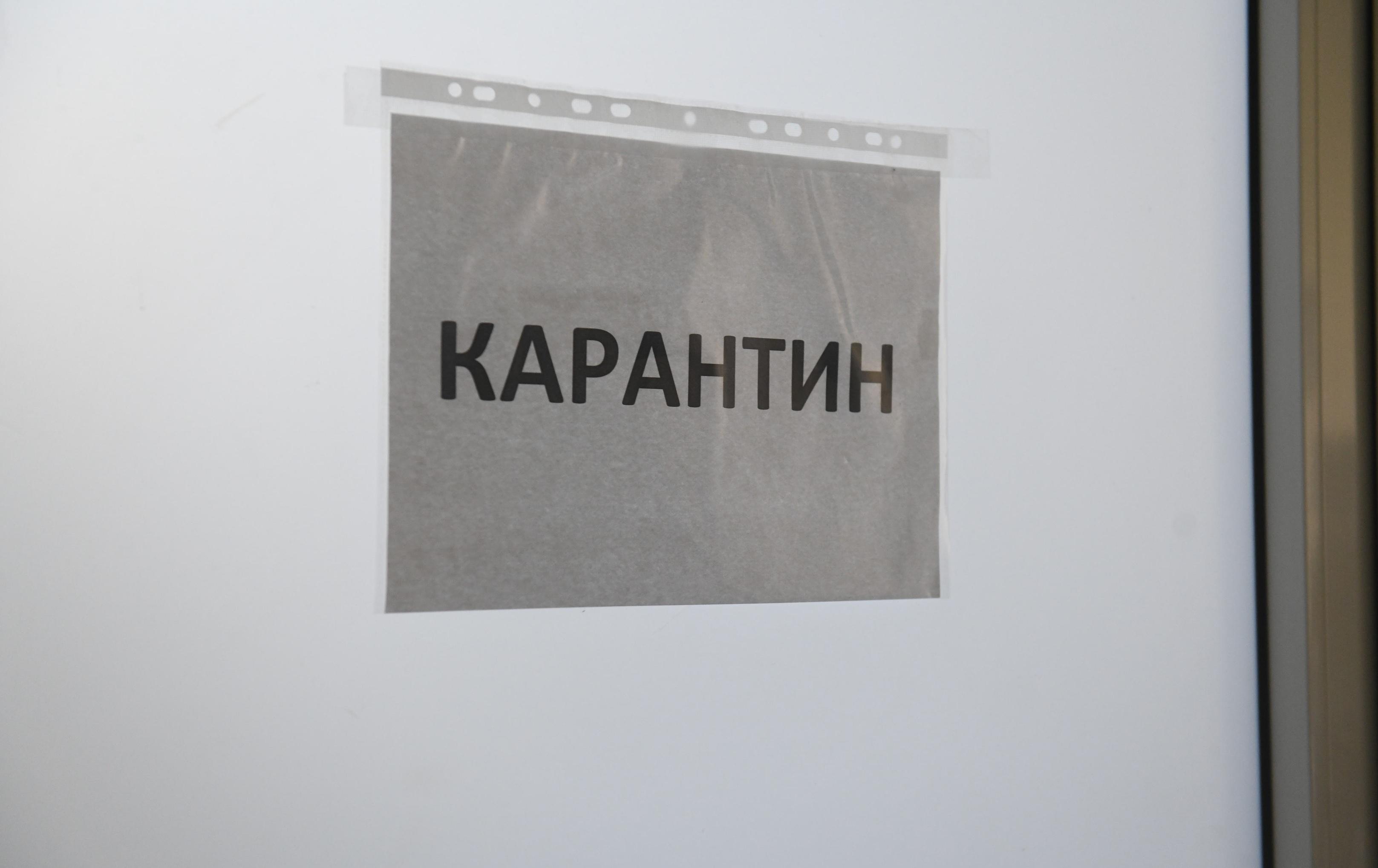 В Башкирском Зауралье снова ввели карантин из-за бешенства