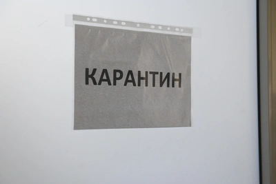 В Башкирии ввели карантин из-за бешенства в детском саду