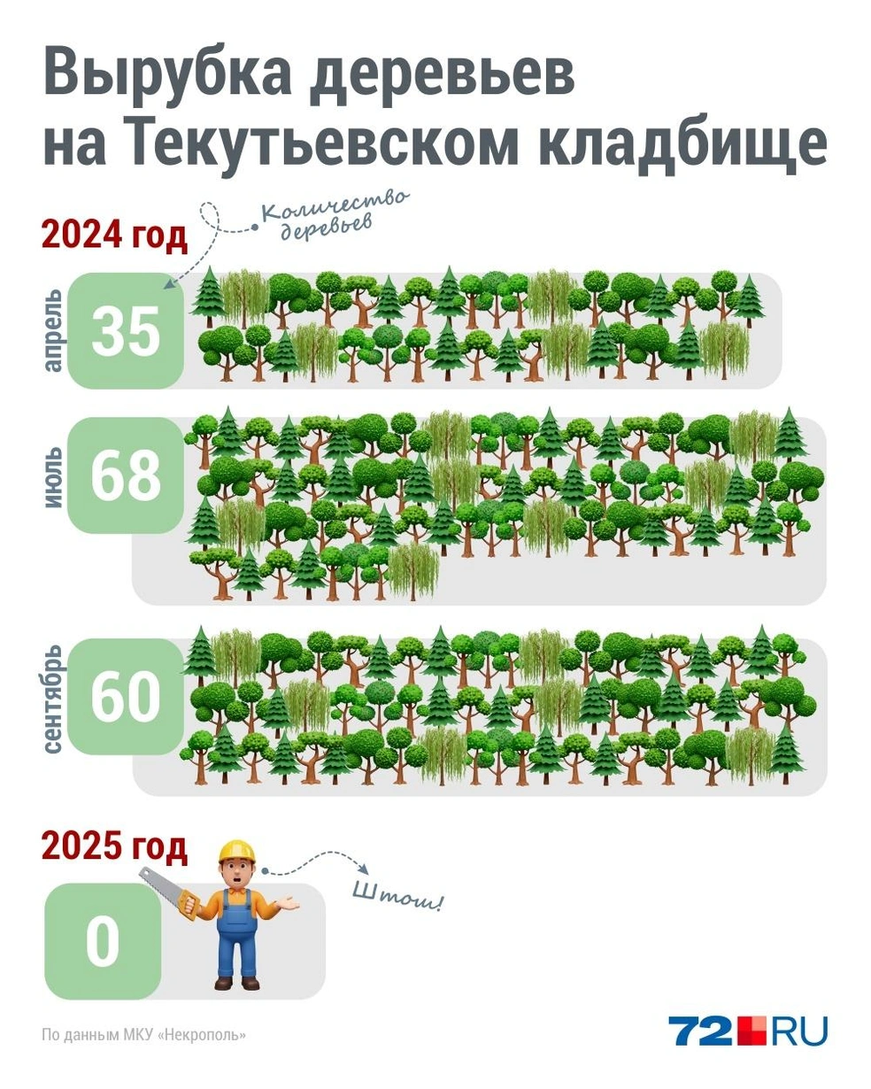 Источник: Дмитрий Гладышев / 72.RU