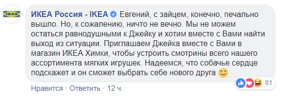 Москвич попросил IKEA вернуть в продажу любимую игрушку его собаки, и вот что произошло | thegirl.ru